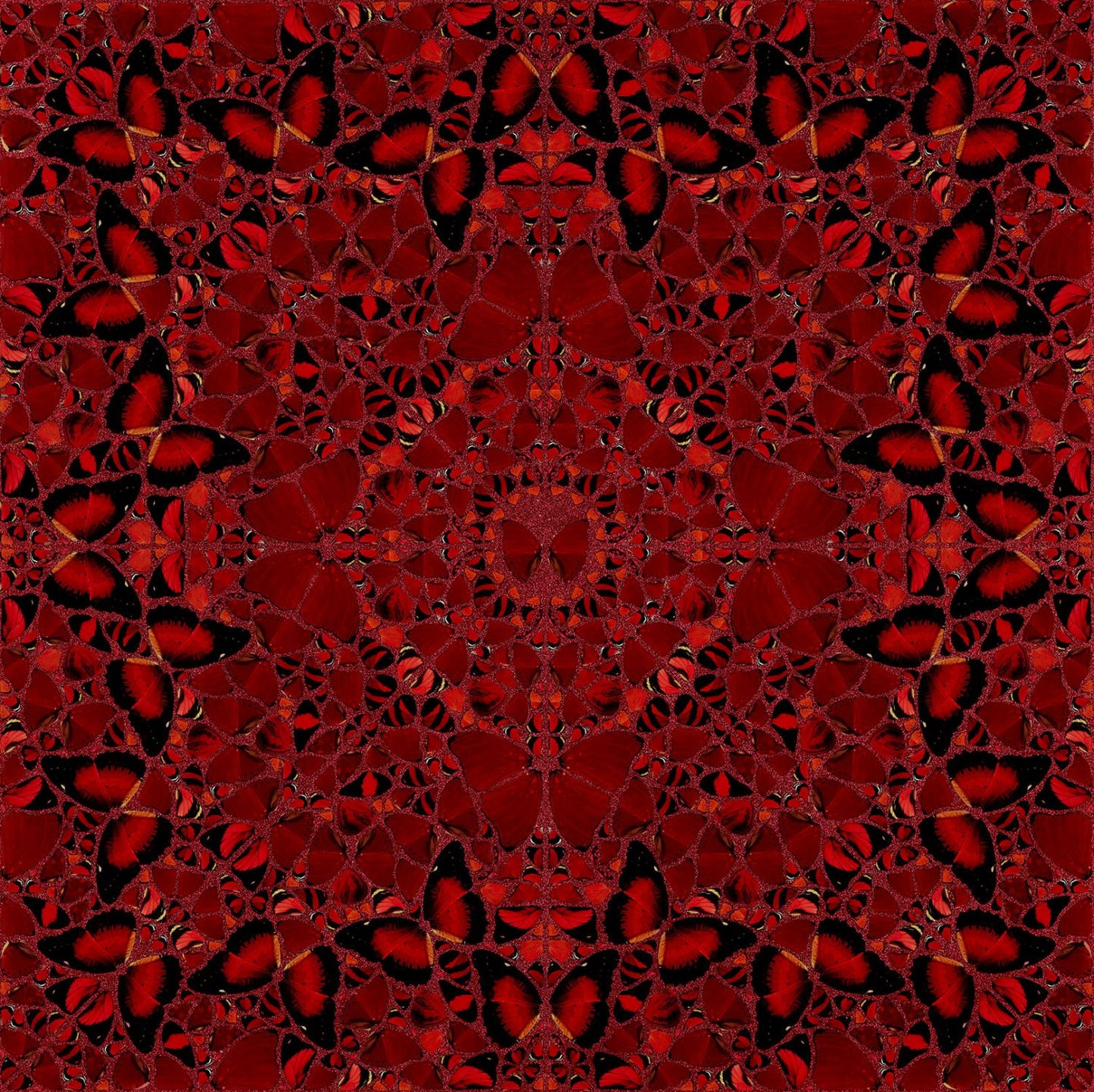 Damien Hirst - Nūr Jahān Print