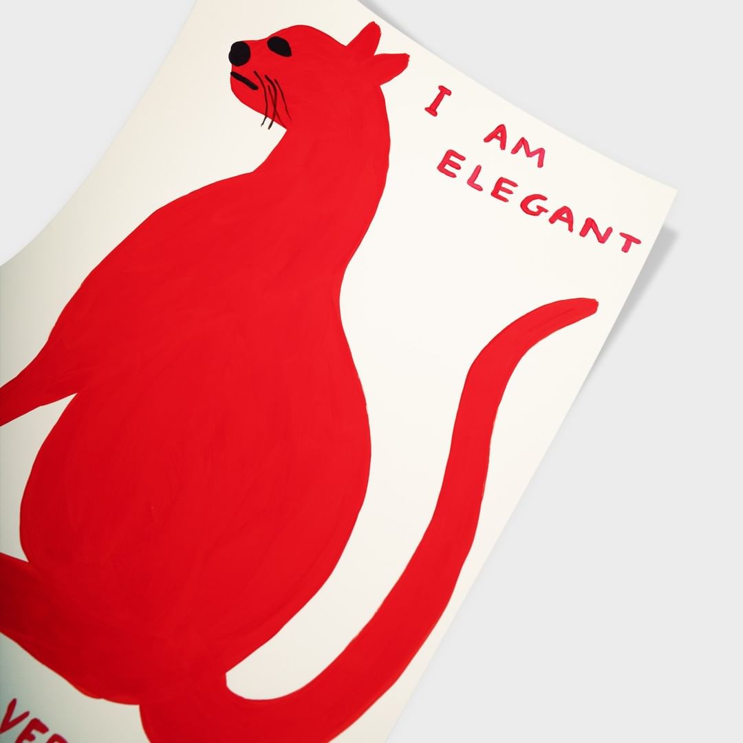 David Shrigley - I Am Elegant