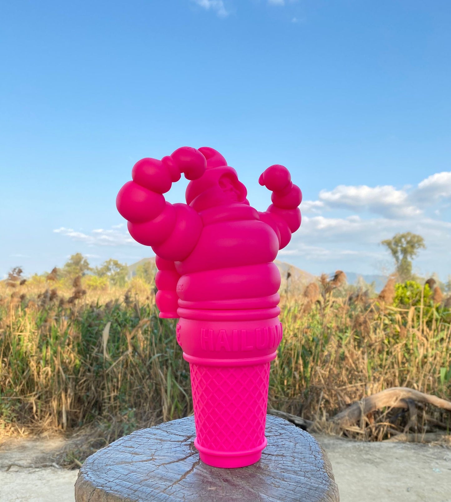 Jimmy Rice - Hailum40 (Big Version Pink Color)