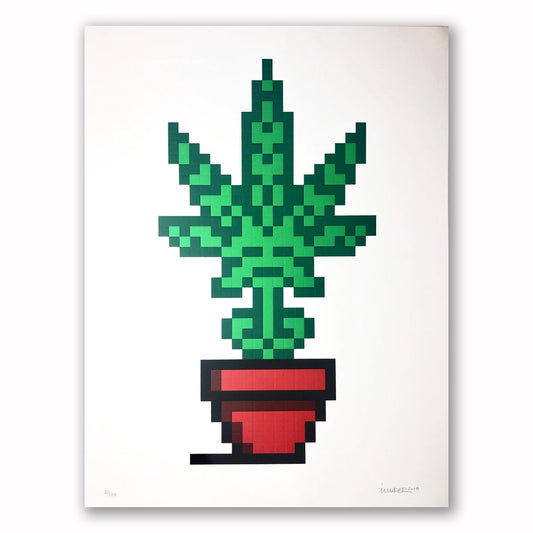 Invader - Hollywood Red Pot (Framed)