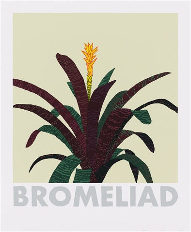 Jonas Wood - Bromeliad (Framed)