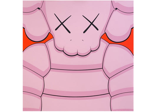 Kaws - What Party (Pink)