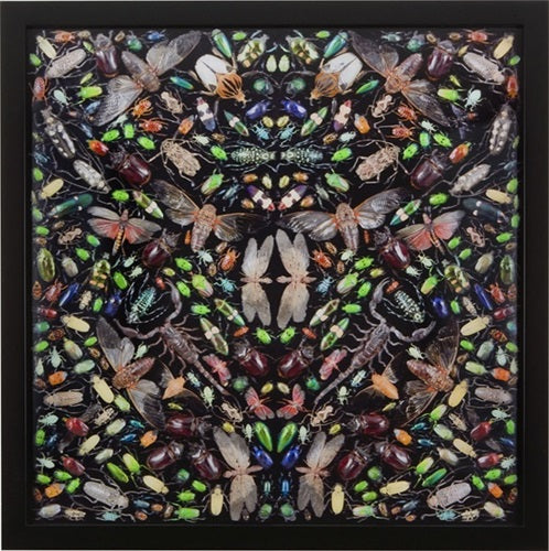 Damien Hirst - Inferno (Framed)