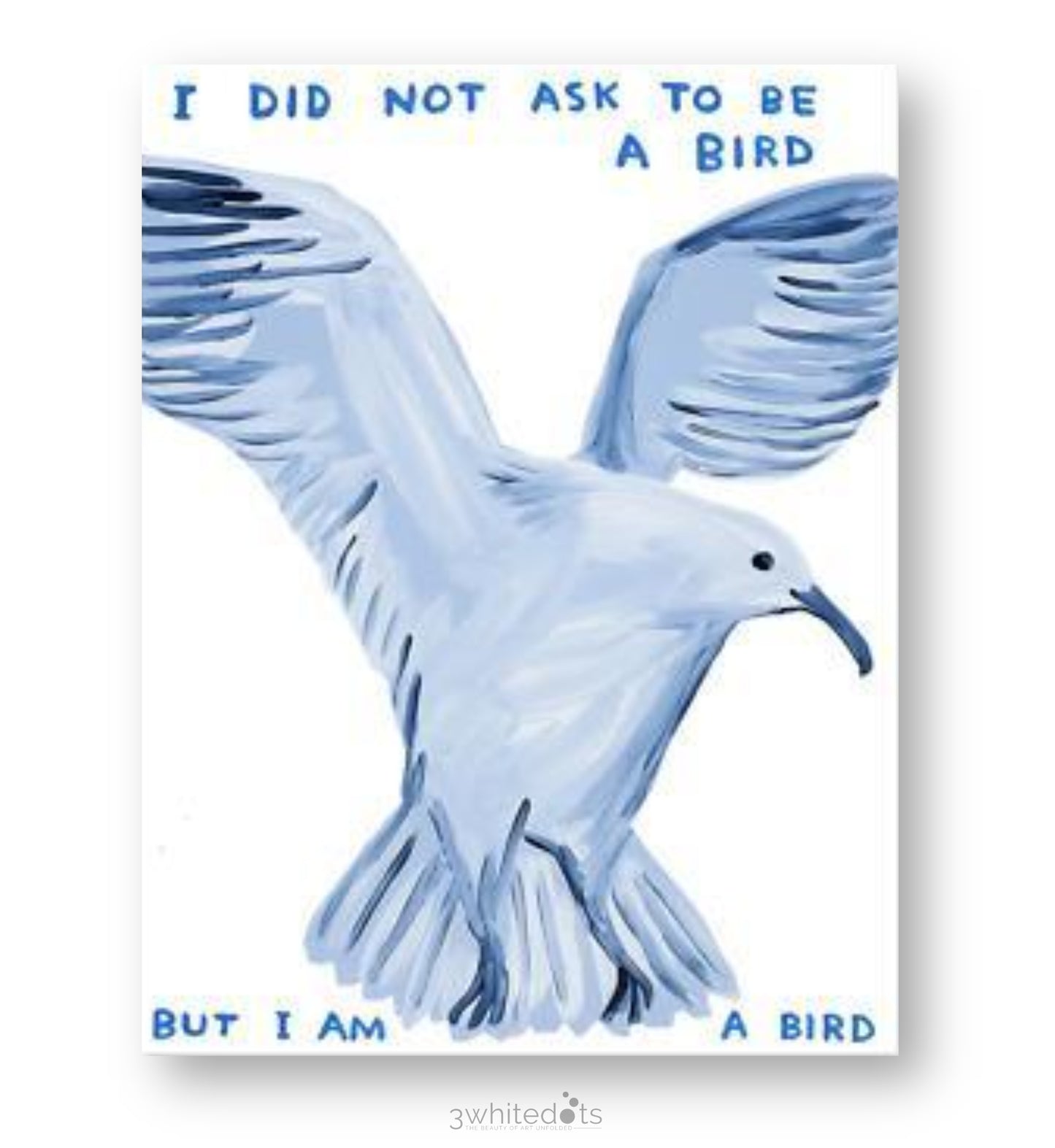David Shrigley - I Did Not Ask To Be A Bird